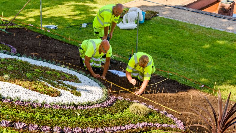 Landscaping and Grading