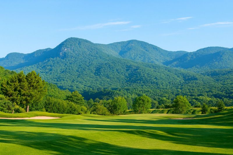 Landscaping And Grading