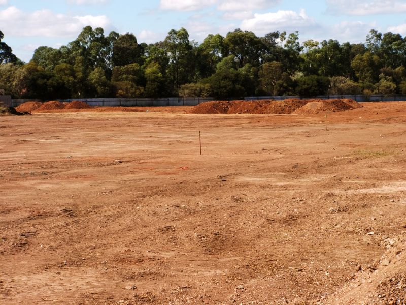 Landscaping And Grading